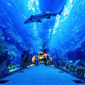 The National Aquarium Abu Dhabi