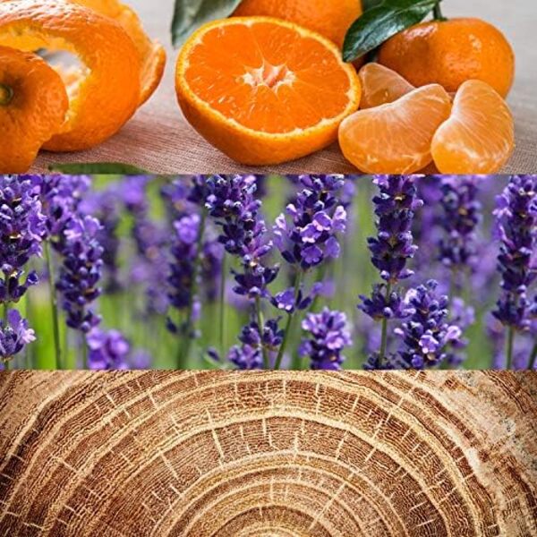 Calvin Klein OBSESSION Men's EDT 125MLImage