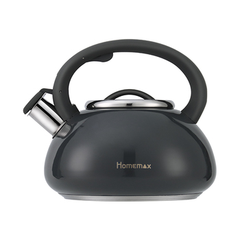 HomeMax Stovetop Gas Kettle