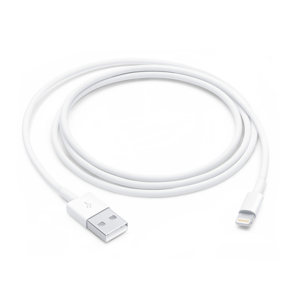 Apple Cavo da Lightning a USB (1m)Immagine