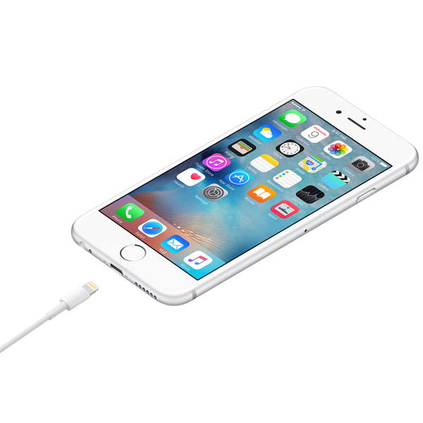 Apple Cavo da Lightning a USB (1m)Immagine