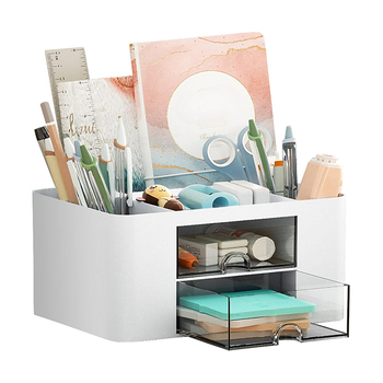 ProzenPro Multi-Compartment Desk Organizer