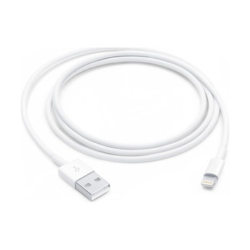 Apple Lightning to USB Cable (1M)