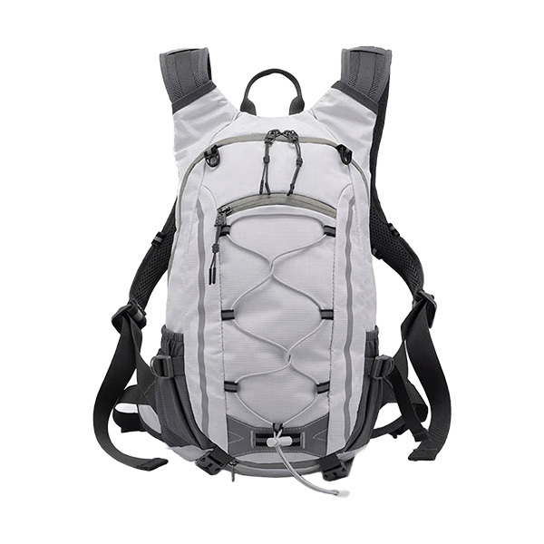 Trends Travel BackpackImage
