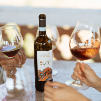 Langhe DOC 2023 Nebbiolo