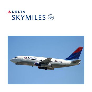 Delta Air Lines – Delta SkyMiles®