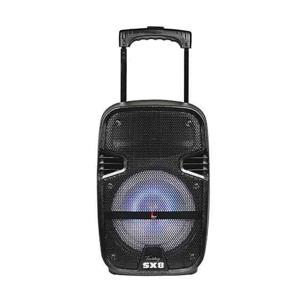 igear bluetooth speaker price