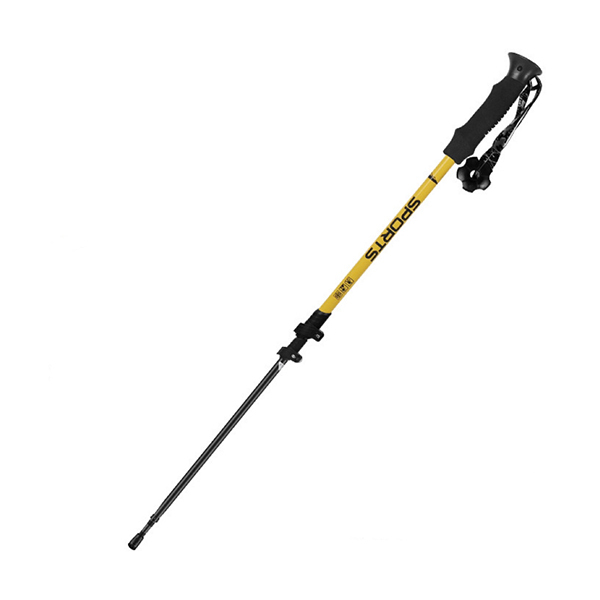 Trends Carbon Fiber Trekking PolesImage