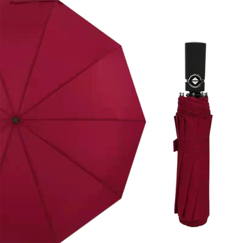 Trends Automatic Windproof Umbrella with 10 Rib Construction