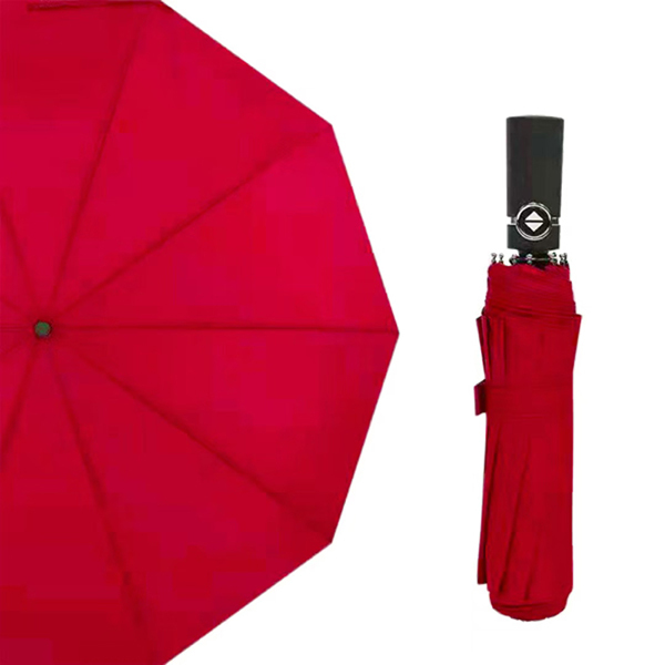 Trends Automatic Windproof Umbrella with 12 Rib ConstructionImage