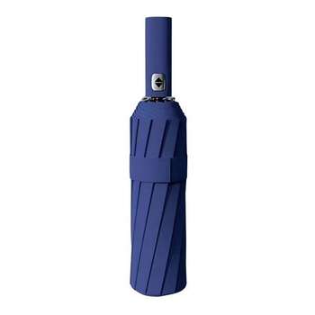 Trends Automatic Windproof Umbrella with 12 Rib Construction