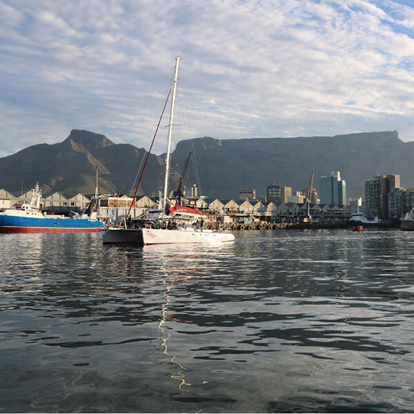 Western Cape : Daytime Catamaran CruiseImage