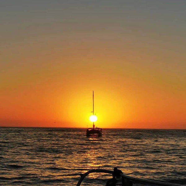 Western Cape : Daytime Catamaran CruiseImage