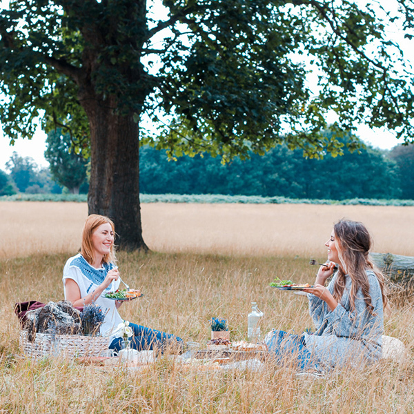 Western Cape : Gourmet Picnic for TwoImage