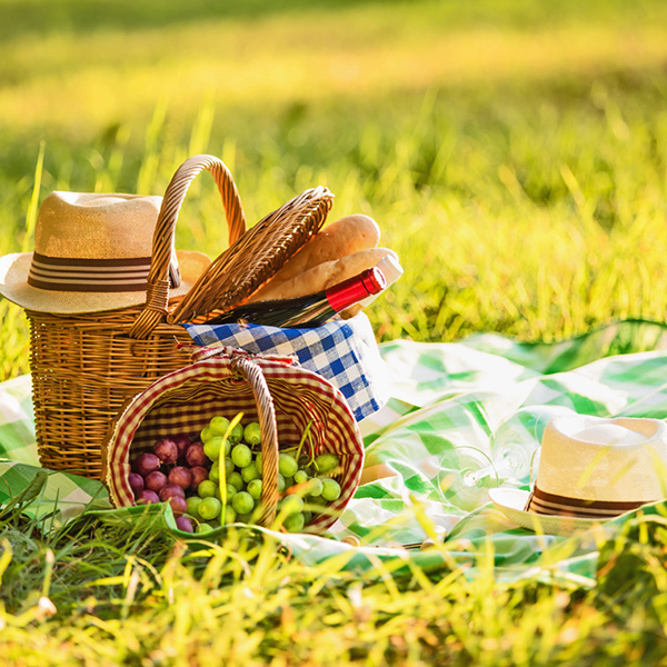 Western Cape : Gourmet Picnic for TwoImage