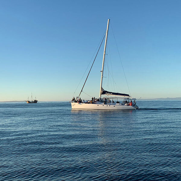 Western Cape : Family Daytime Catamaran CruiseImage