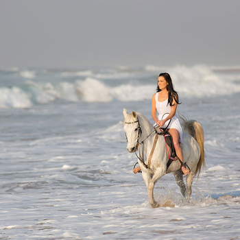 Western Cape : Beach Horse Ride