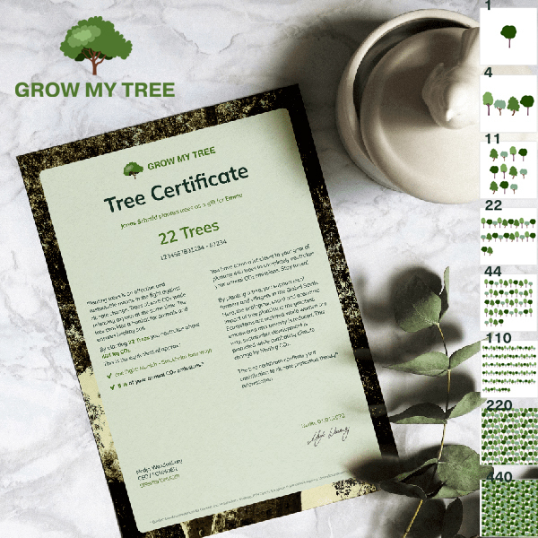 GROW MY TREE – Planting treesImage