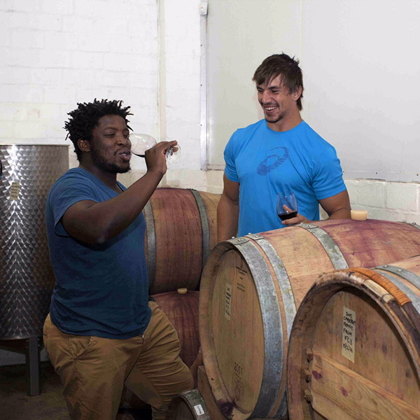 Western Cape : Exclusive Wine Estate Experience for TwoImage