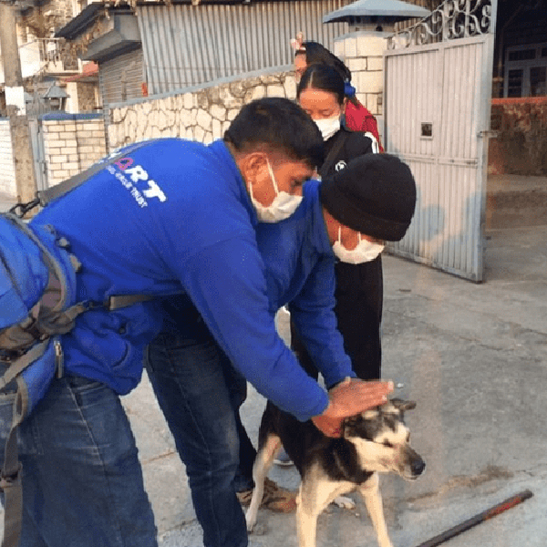 Vaccinate Dogs against RabiesImage
