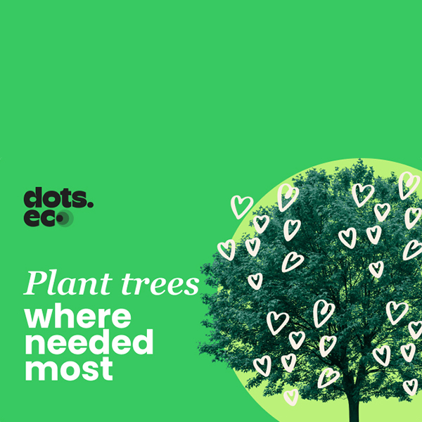 Pflanzen Sie Bäume dort, wo sie am meisten gebraucht werdenBild