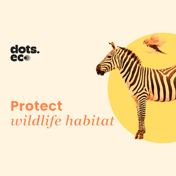 Protect 10 sqf of Wildlife Habitat