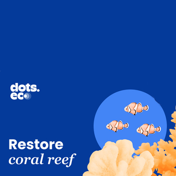 Restore a Coral Reef Fragment