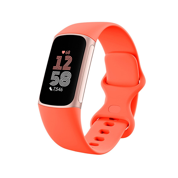 Fitbit CHARGE 6 Activity Tracker – Coral & Champagne GoldImage