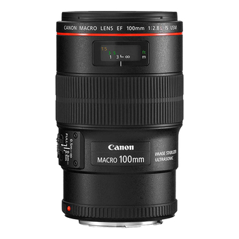 Canon EF 100mm f/2.8L Macro IS USM Lenses