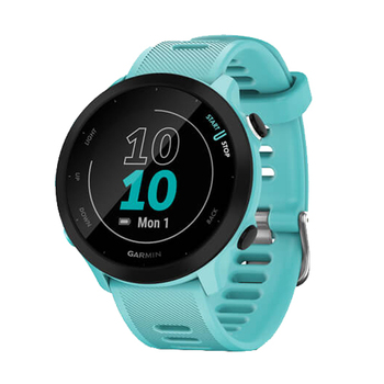 Garmin FORERUNNER 55 Smart Watch