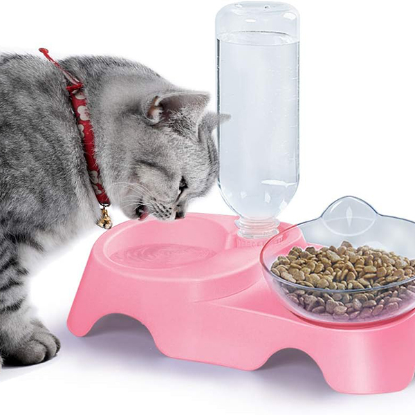 Kutiepaw Elevated Tilted Food and Water Bowl SetImage