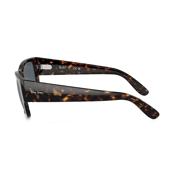 Ray-Ban Unisex Sunglasses CarlosImage