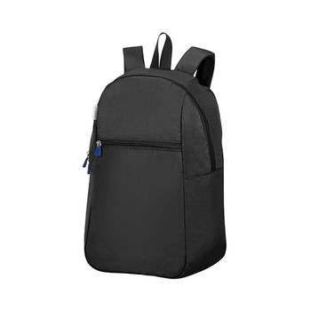 Samsonite Foldable Backpack