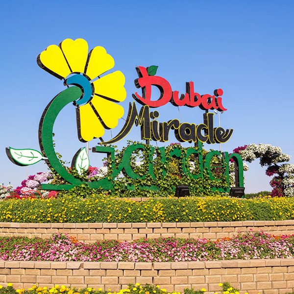 Miracle Garden DubaiImage