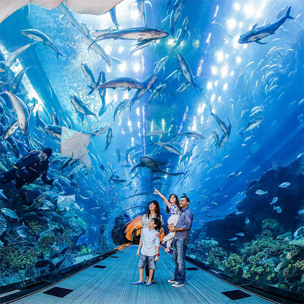 Dubai Aquarium and Underwater ZooImage