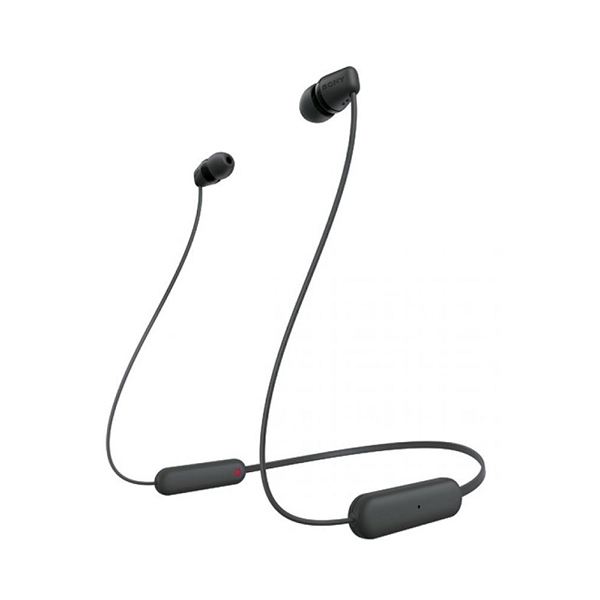 Sony True Wireless WI-C100 Splashproof EarphonesImage