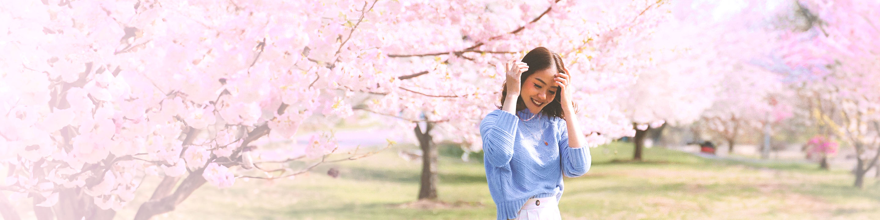 Experience the Cherry Blossom Season with Exclusive Rewards from JAL Mileage Bank