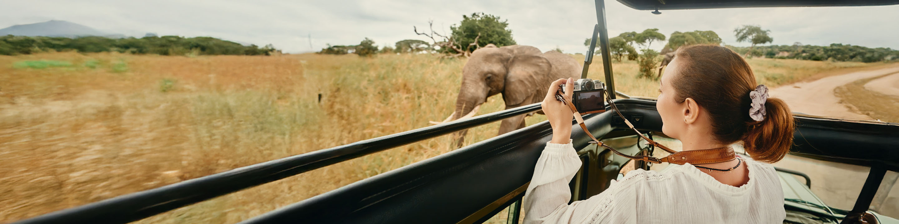 Safari