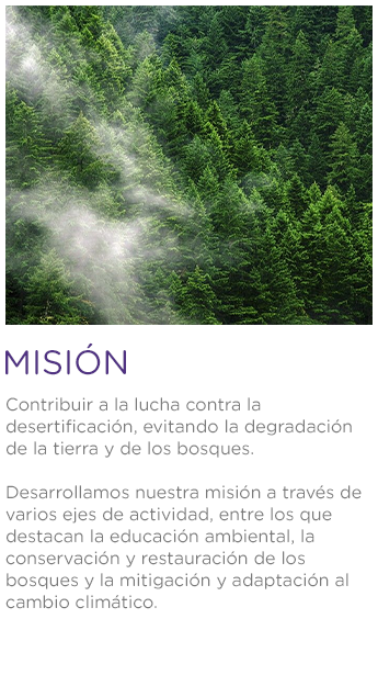 Misión